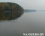 Окружающая природа (Чигиринское водохранилище)