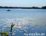 Водная гладь (озеро Богинское)