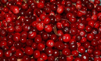 Полесская клюква